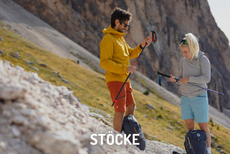 Black Diamond Equipment Trekking Stcke Skipoles