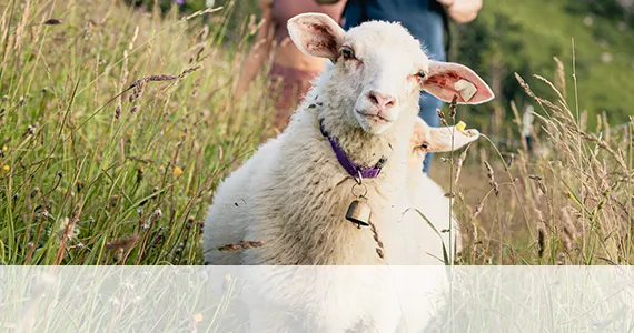 Plasikfrei Outdoor Special